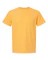 Comfort Colors 1717 — Unisex Garment-Dyed Heavyweight T-Shirt A One Printing Supplies